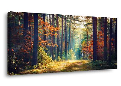 #ad Autumn Forest Large Stretched Canvas Wall Art For Living Room Bedroom Home De... $104.11