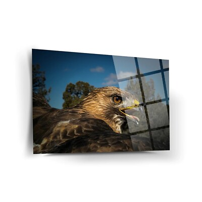 #ad #ad Hawk in the Sky Tempered Glass Wall Art Fade Proof Home Decor Wall Hangings $99.00