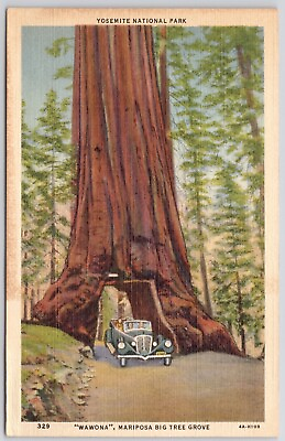 Postcard CA Wawona Mariposa Big Tree GroveYosemite Linen Unposted Vintage $6.94
