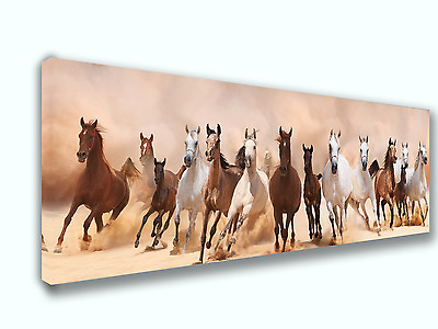 #ad Horse Mix Panoramic Picture Canvas Print Home Decor Wall Decor Art $235.11