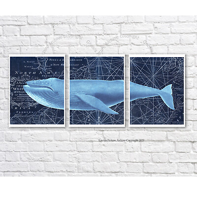 #ad Humpback Whale Art 3 piece unframed Wall Art Navy Blue Nautical Nursery Decor $70.00