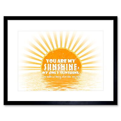 #ad Quote Song Lyric Hood You Are My Sunshine Motivation Framed Wall Art Print 12X16 $23.49