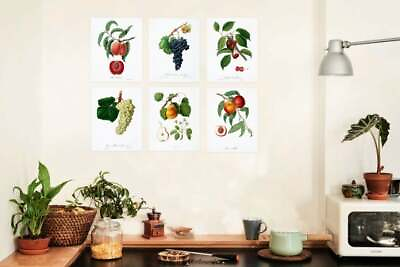 #ad Kitchen Wall Art Home Decor Fruits Wall Art 6 Prints $18.00