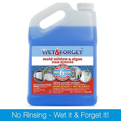 #ad Wet amp; Forget Outdoor Mold Mildew and Algae Stain Remover 128 oz $26.69