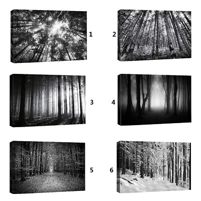 #ad Black and White Forest Landscape Canvas Wall Art Framed Art Print $28.59