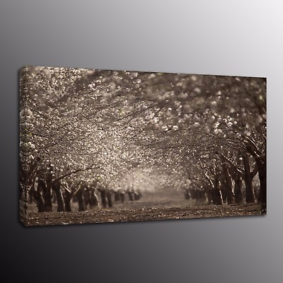 #ad Canvas Painting Home Decor Prints Wall Art Pictures Black and White Road $59.80