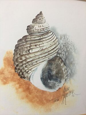#ad #ad Vintage Anni Moller Matted Framed Sea Shell Art Beach Seashell Wall Spiral 14” $39.99