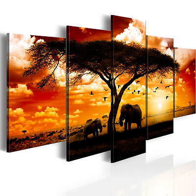 #ad ELEPHANT Canvas Print Framed Wall Art Picure Photo Image 0051378 $219.99