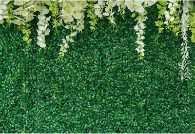 #ad #ad Greenery Backdrop Wall for Photography 10X8Ft Vinyl Green Leaf with Flowers $49.95