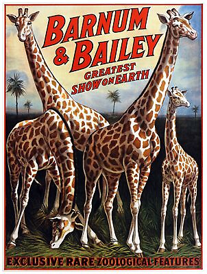 #ad Decor Poster. Fine Graphic Art. Rare zoological Features. Home Wall Design 1387 $35.00