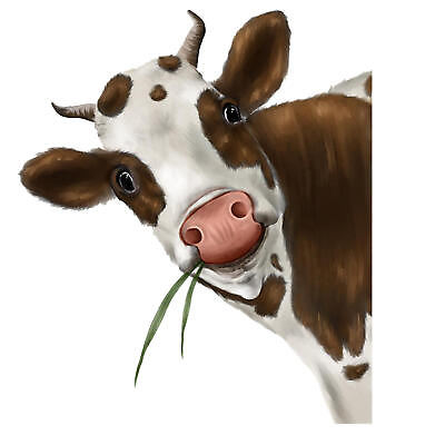 #ad Funny Cow Window Decal Cow Wall Decals Stickers Cow Window Stickers $8.16
