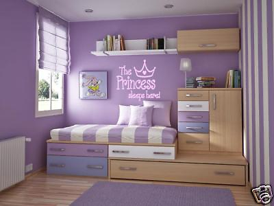 #ad PRINCESS SLEEPS HERE Girls Teen Bedroom Wall Decal Words Lettering Saying 48quot; $34.56