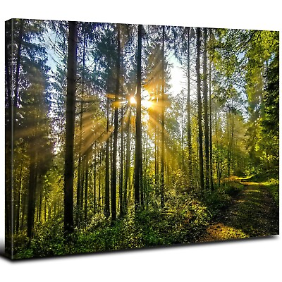 #ad Forest Canvas Wall Art Decor for Living Room Sunrise Green Nature Landscape ... $189.58