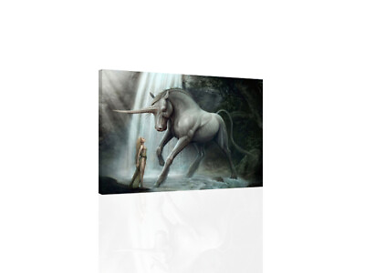 #ad Unicorn And Princess CANVAS OR PRINT WALL ART $19.00
