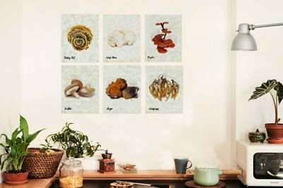 Home Decor Wall Art Kitchen Mushroom Shrooms Fungi Wall Art Prints Set 6 $16.00