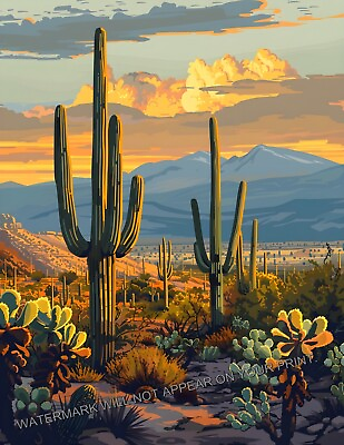 #ad Saguaro National Park AZ Autumn Sonoran Desert Cactus Giclée Art Print 8.5X11 $9.35