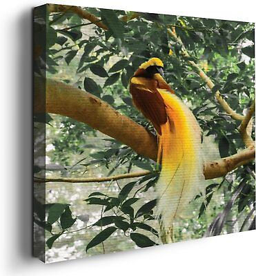 #ad Birds of Paradise Bird Wall Decor Theme HD Printed amp; Wooden Wall Art for Gift $26.99
