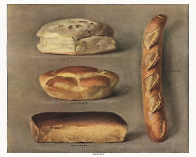 #ad 11712.Decor Poster.Room wall.Home vintage art design.Kitchen art.Bread loaf.Chef $56.00