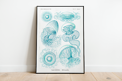 #ad Ernst Haeckel Jellyfish Wall Art Print Poster Quality Vintage Home Decor GBP 25.00