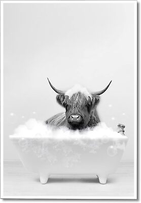 #ad Funny Highland Cow Bathroom Canvas Wall Art Black and White Longhorn Print Paint $81.57