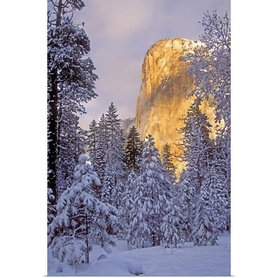 #ad California Yosemite National Park El Poster Art Print Forest Home Decor $29.99