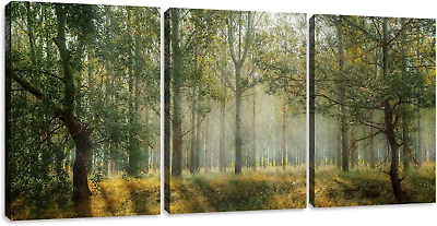 #ad #ad Tree with Sunlight Wall Art Poster Print 3 Piece Large Modern Forest Landscape C $142.63