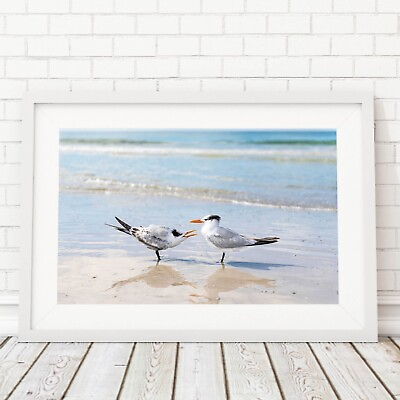 #ad #ad Birds on the Beach Photo Siesta Key Photography Wall Art Beach House Wildlife $265.00