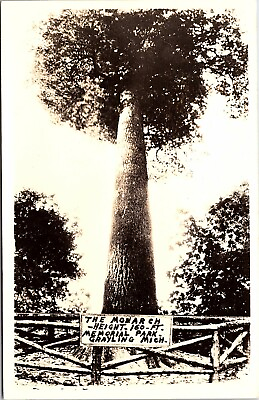 Postcard MI RPPC The Monarch Big Tree Memorial Park Grayling Michigan Real Photo $8.99