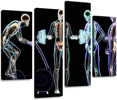 #ad Canvas Wall Art Painting Pictures X Ray Fitness Center Modern Artwork Framed Pos $142.63