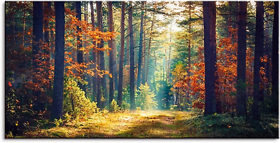 #ad Autumn Forest Large Stretched Canvas Wall Art for Living Room Bedroom Home Decor $250.82