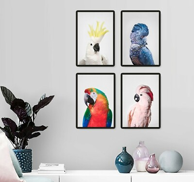 #ad Wall Art Home Decor Birds Macaws Cockatoo Parrot Set of 4 Prints $18.00