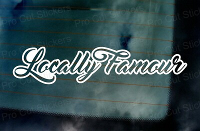 Locally Famous Custom Slogan Car Window Bumper Small to Large Stickers Decals $21.32