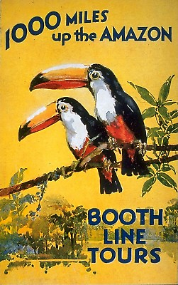 #ad BOOTH LINE TOURS up Amazon River poster NEW Fine Art Giclee PrintToucan $5.99