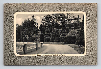 #ad Hunnewell Gardens Topiary Sculpted Bushes Wellesley Massachusetts MA Postcard $10.91