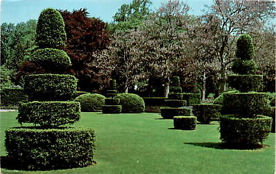 #ad #ad Longwood Gardens Kennett Square Pennsylvania Topiary Garden Copper Beec Postcard $10.75