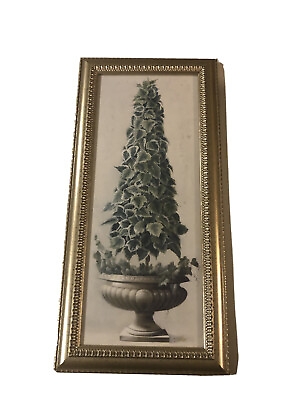 #ad Roman Topiary Framed Picture Print Matt Wall Art by Welby $39.99