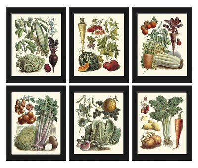 #ad Vintage Garden Prints Wall Art Set of 6 Beautiful Antique Kitchen Unframed $28.00