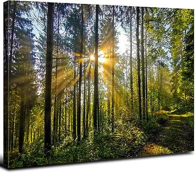 #ad Green Nature Wall Art for Living Room Wall Decor Forest Landscape Canvas Picture $31.22