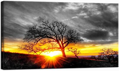#ad #ad Modern Wall Art Decor Black and White Tree at Gold Sunset Picture Canvas Prints $15.00