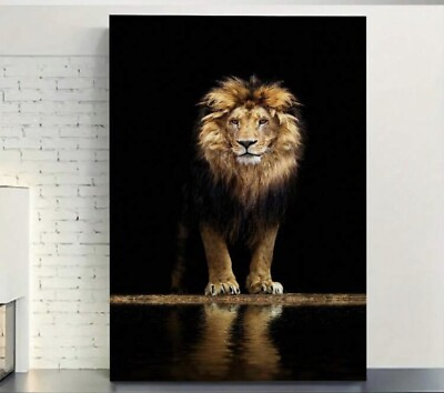#ad quot;Stunning Lion in the Dark Reflection Animal Wall Art Canvas Paintingquot; $27.00