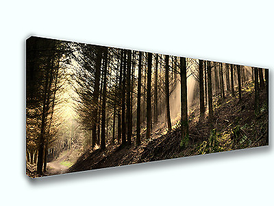 #ad Morning Mist Forest Nature Panoramic Picture Canvas Print Home Decor Wall Art $108.34