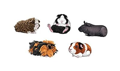 #ad Decal Vinyl Wall Stickers Decoration for Home Office Guinea Pig Variety Set B $19.70