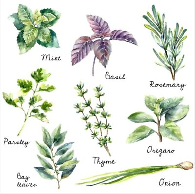 #ad Herb Wall Decals Peel and StickHerb Wall StickersHerb Wall Art Decor for Kitch $20.39