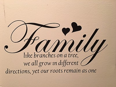 #ad Family Like Branches On A Tree... Vinyl Wall Art Decal Sticker Wall Quote $11.95