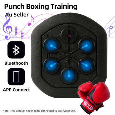 Boxing Training Music Electronic Boxing Combat Train Wall Target Bluetooth APP $199.95