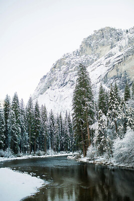 #ad Yosemite Park In Winter Photo Nature Painting Wall Art Home Decor POSTER 20x30 $23.99