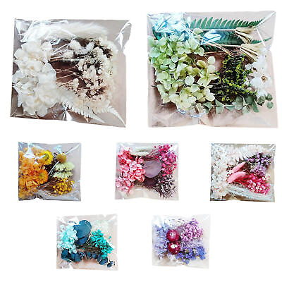 #ad 1Box Real Dried Flowers For DIY Art Craft Epoxy Resin Pendant Jewellery Making $9.59