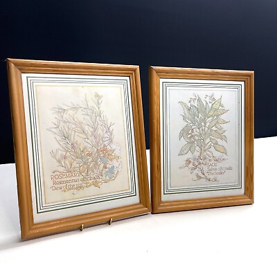 #ad 2 x Wall Art Framed Prints. Rosemary Sage Herbs GBP 19.99