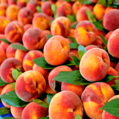 #ad Peach Tree Seeds Dwarf Loring NEMAGUARD Prunus persica Fast Hardy Fruit Plant $8.95