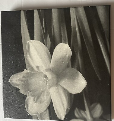 #ad Black and White Flower Canvas Wall Art Paintings Picture Prints for Home Decor $15.00